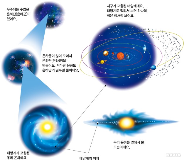 넝쿨포도 이미지