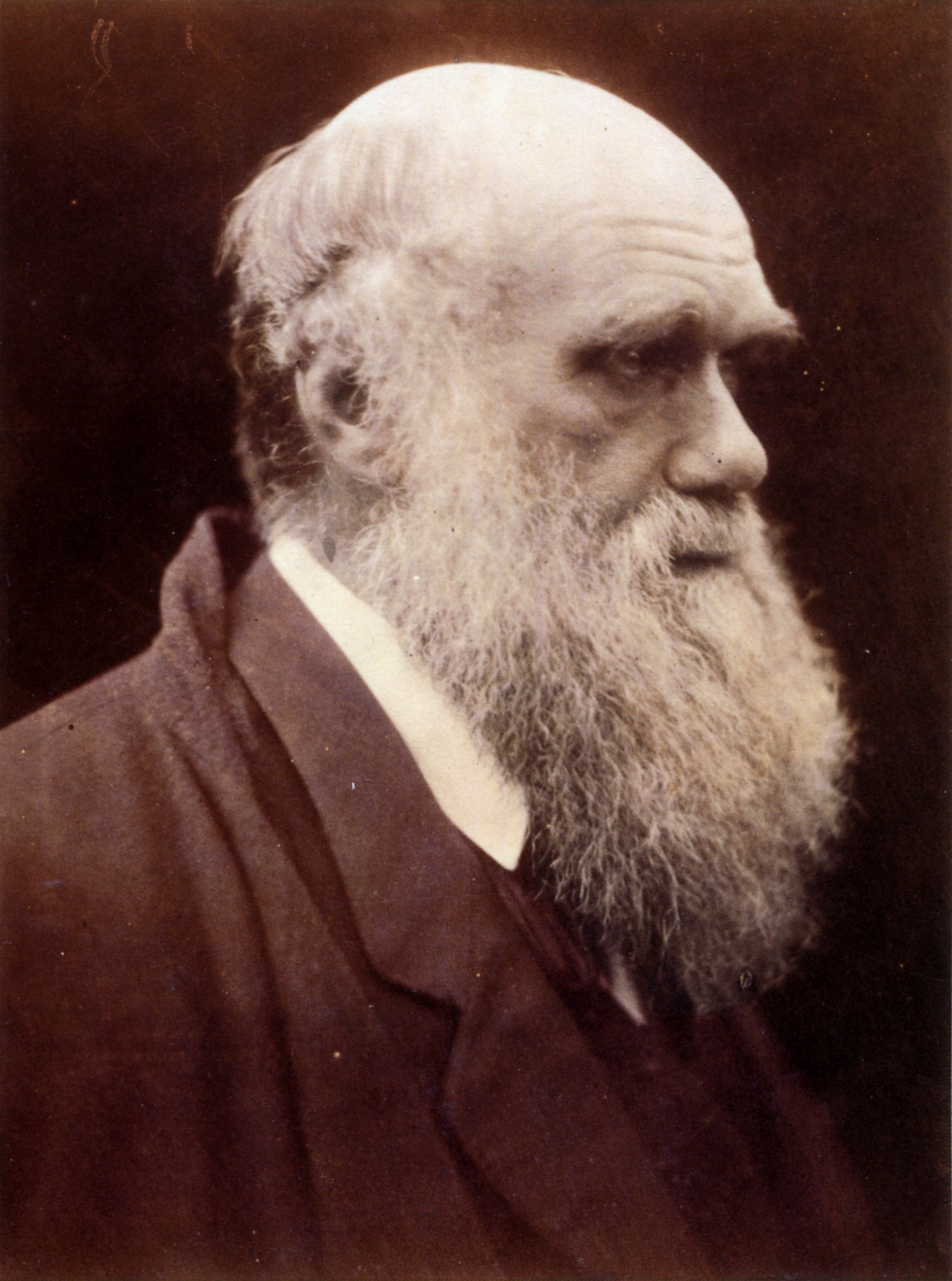 동물학 - 찰스 로버트 다윈(Charles Robert Darwin, 1809~1882)