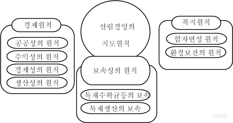 산림경영학 - 산림경영의 지도원칙