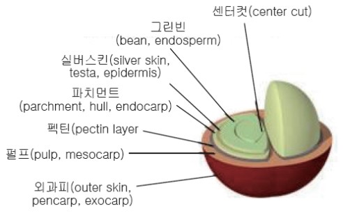 킨커피 이미지