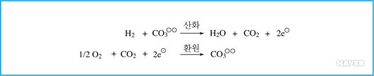 그림 2. CO2가 관여하는 MCFC의 전극반응