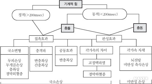 그림 1. 두부손상의 기전