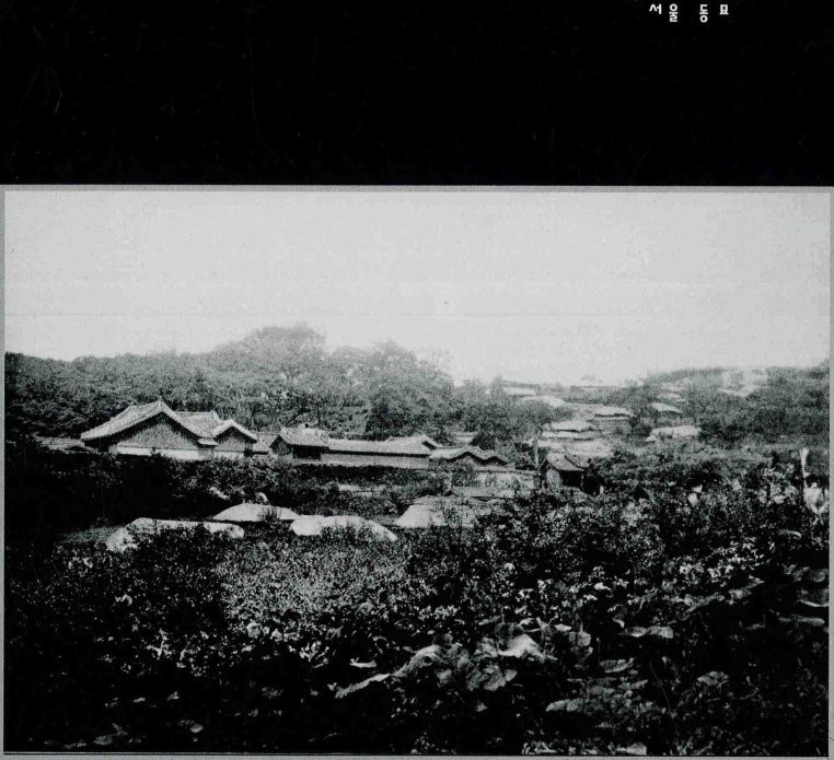 서울 동묘