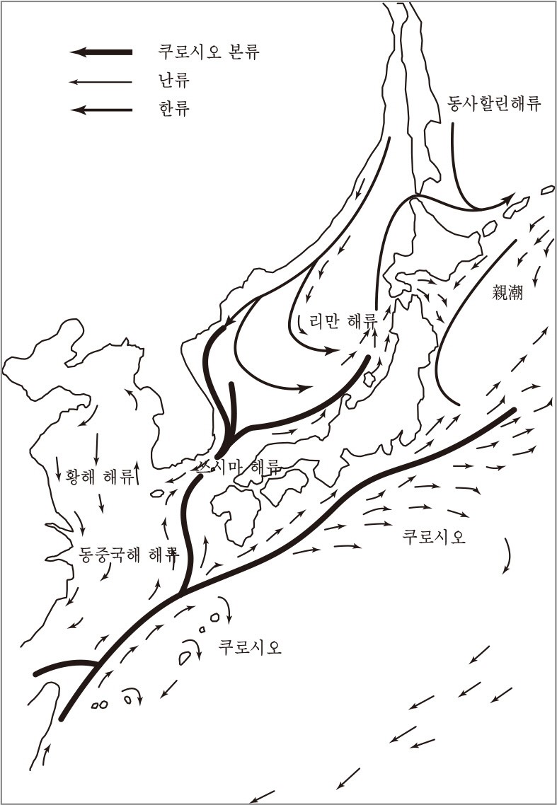 해양문화의 특성 - 동아시아 해류도(海流圖)