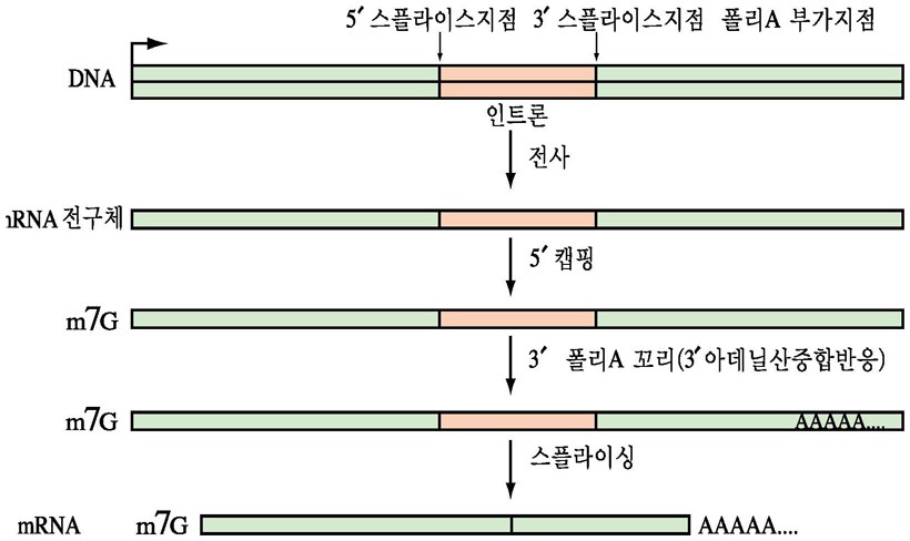 가공