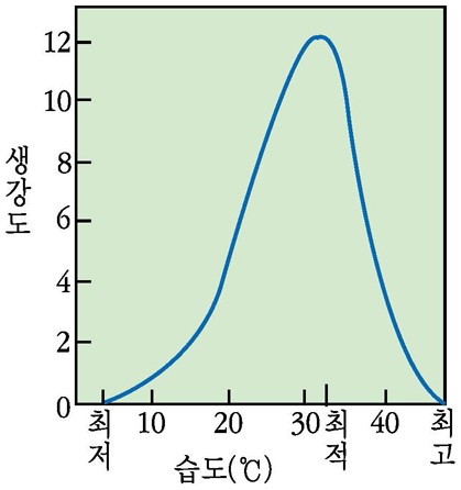 최적곡선 - 최적곡선(옥수수의 생장)
