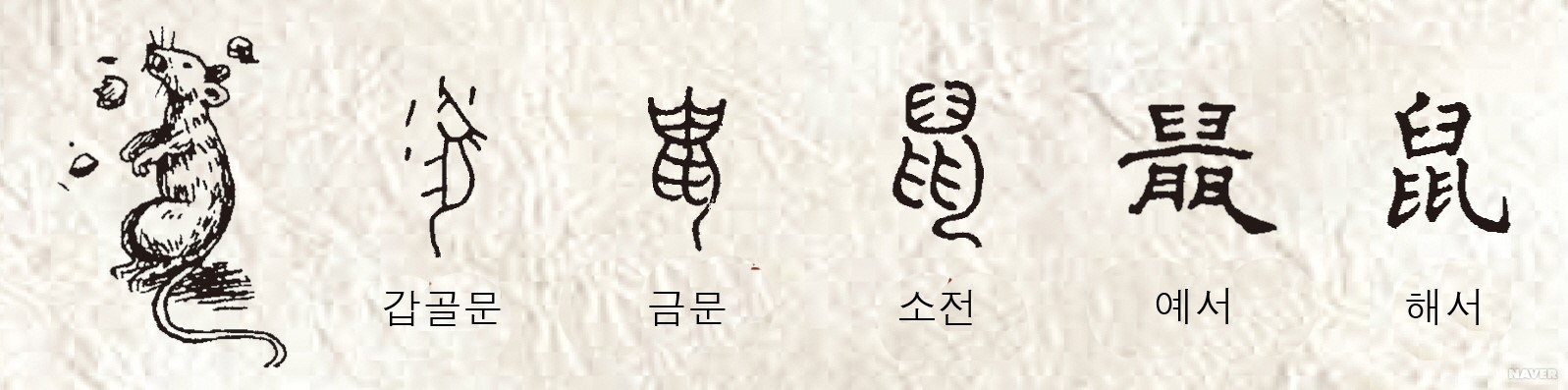 鼠(쥐 서)