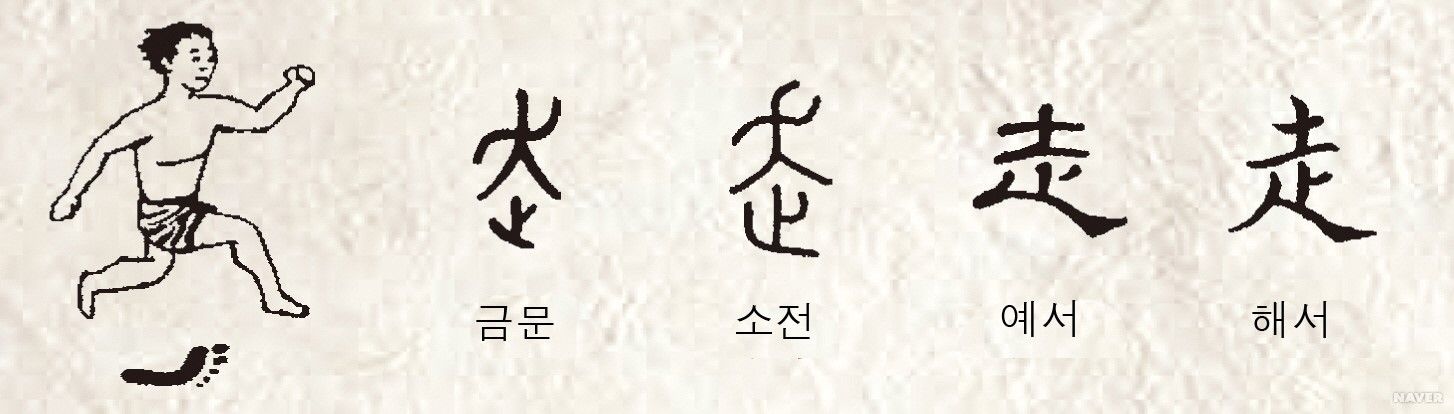 走(달릴 주)