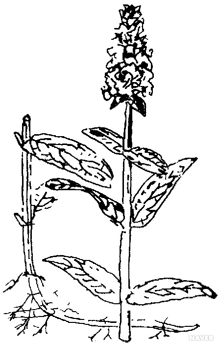 수소