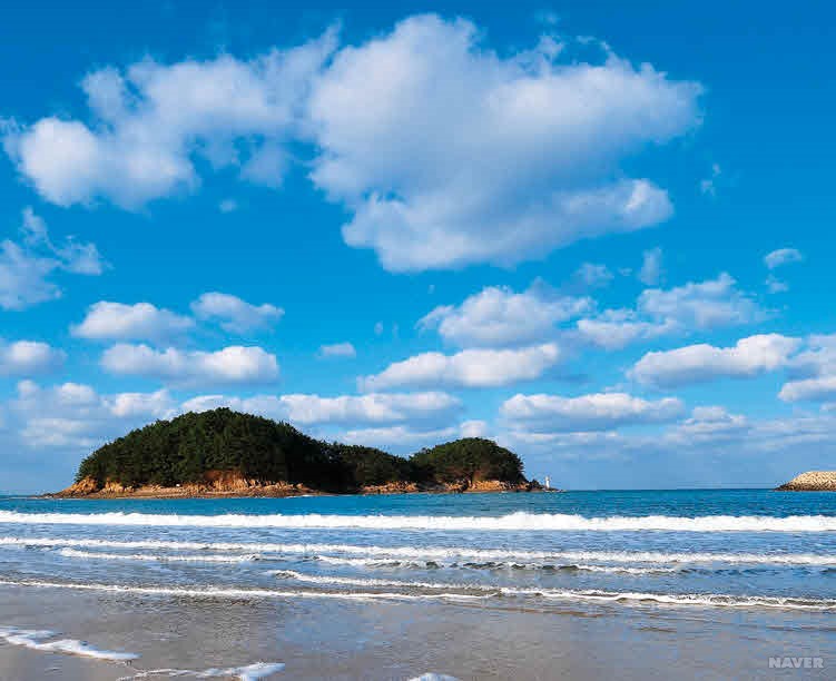 천리포 전경 1