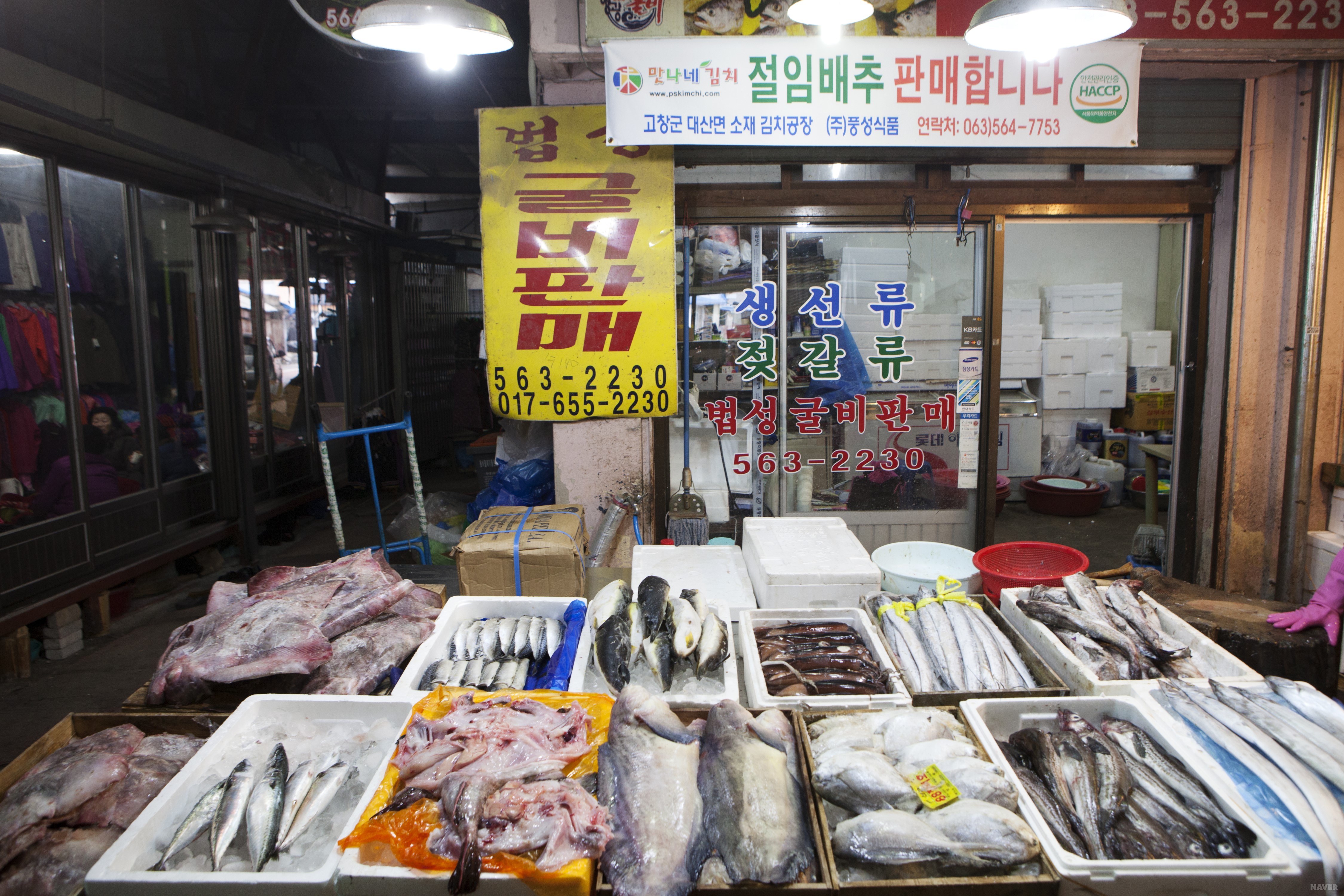 고창상설시장 - 생선을 파는 가게
