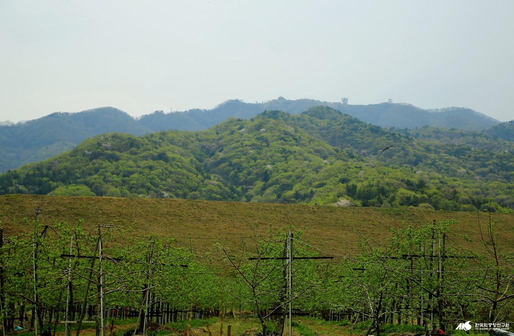 산 - 성거산의 능선