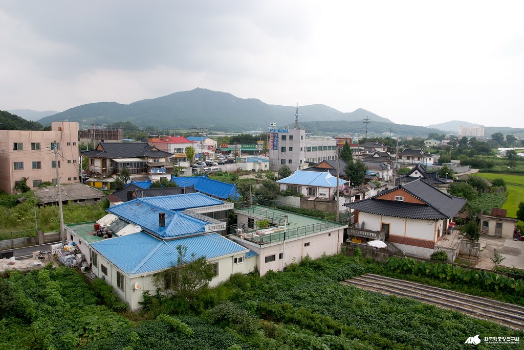 연춘리 - 연춘리 마을 전경