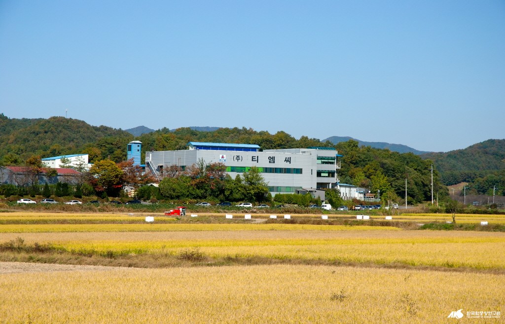 티엠씨