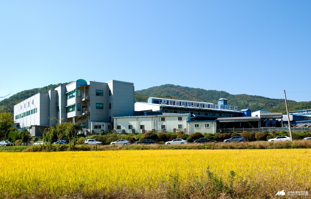 티엠씨