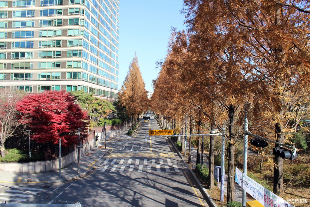 양재천로