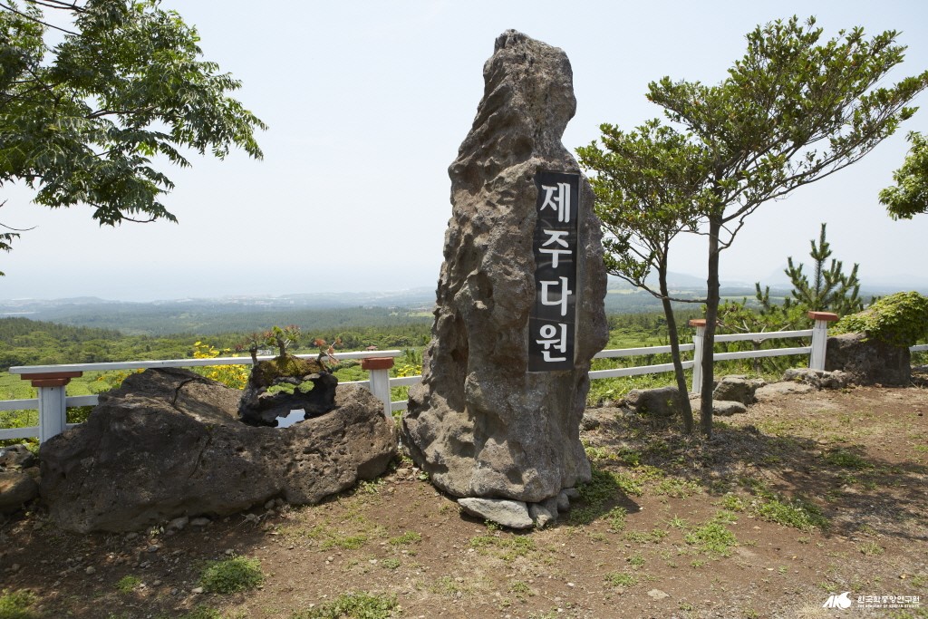 제주다원 영농조합법인 - 제주다원