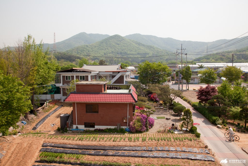 삼하리