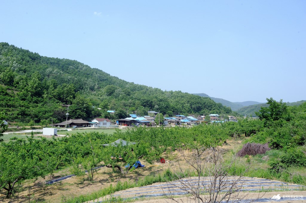 마전리 - 마전리 말구리 하마마을