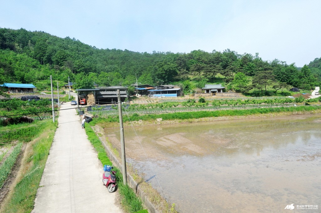대사리[안평면] - 대사리 새터마을