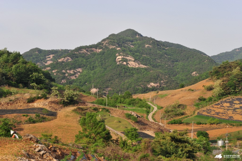 금성면 - 금수산 전경