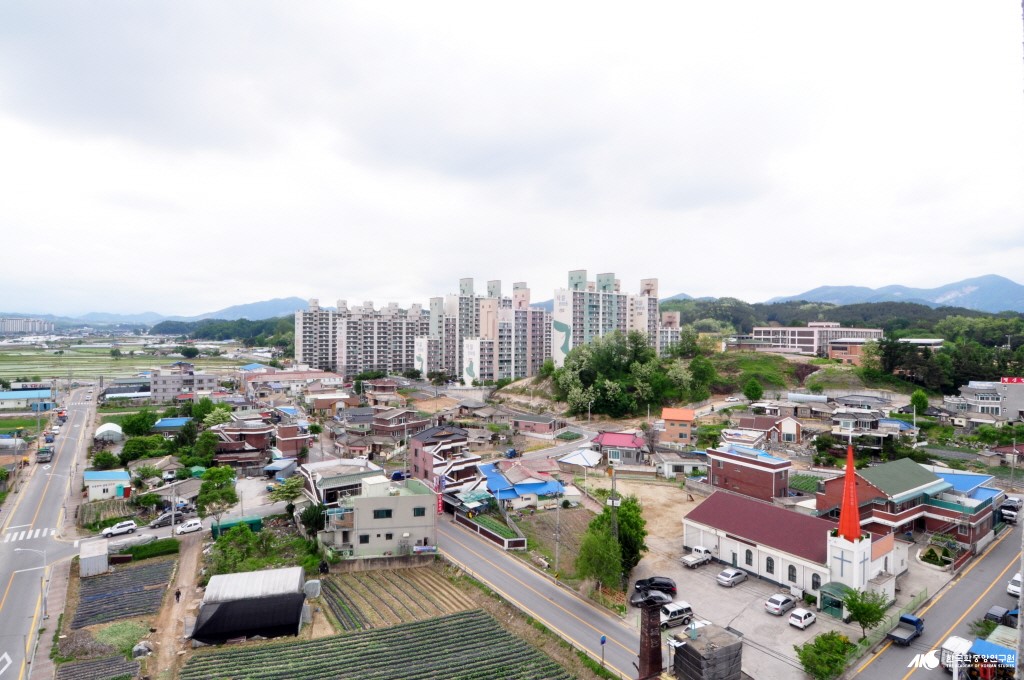 신백동