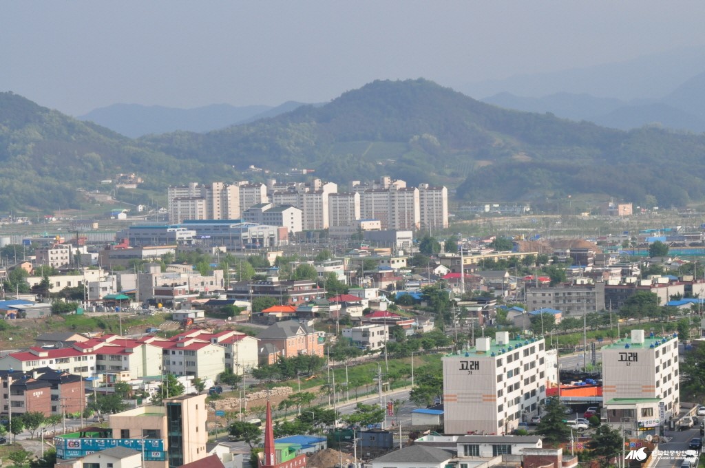 영천동