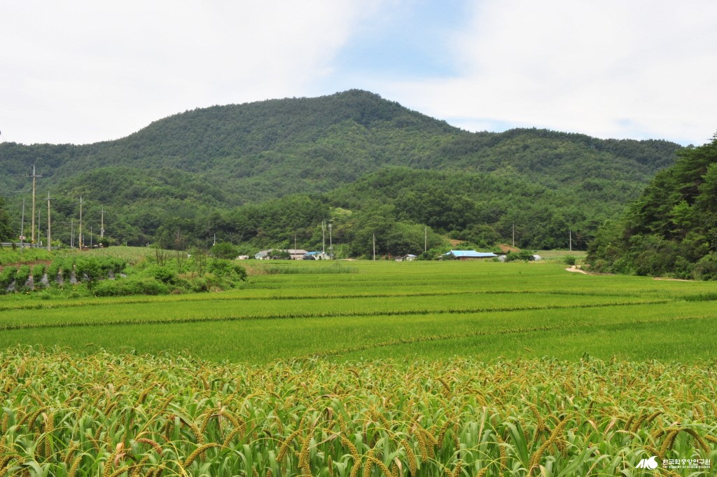 대장리 - 구진산 전경