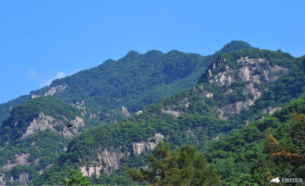 동산