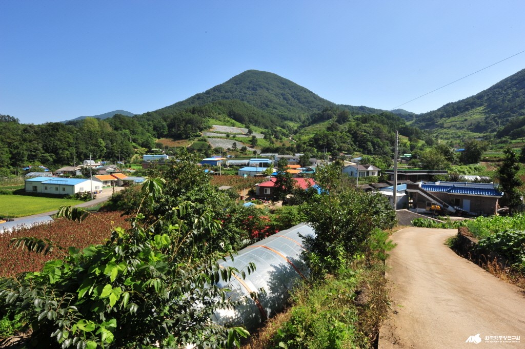 도전리[덕산면]
