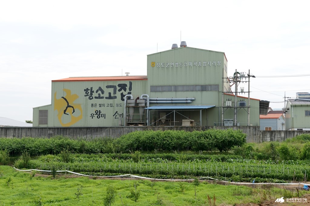 서상리 - 청도군 연합 농협 미곡 종합 처리장