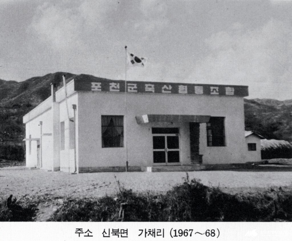 포천 축산업 협동조합 - 포천군 축산협동조합(현 신북면 가채리, 1960년대)