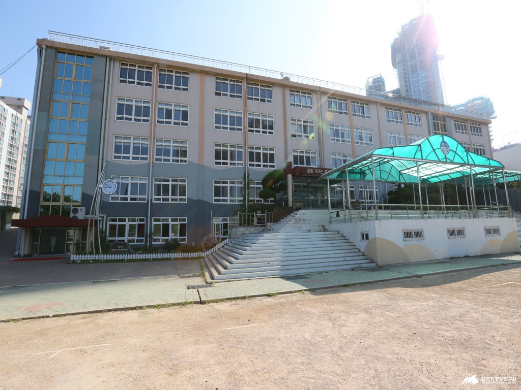 초등학교 - 동백초등학교