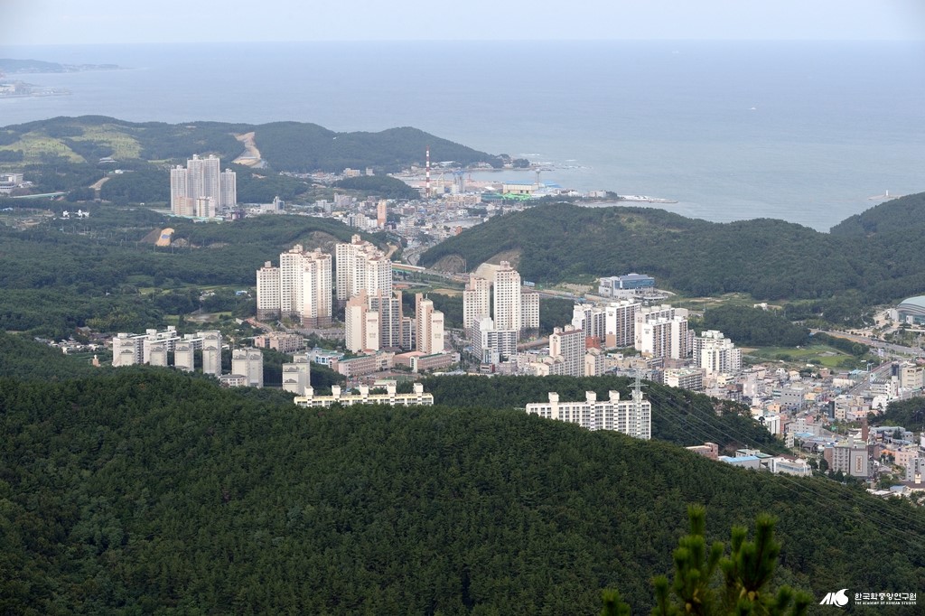 교리