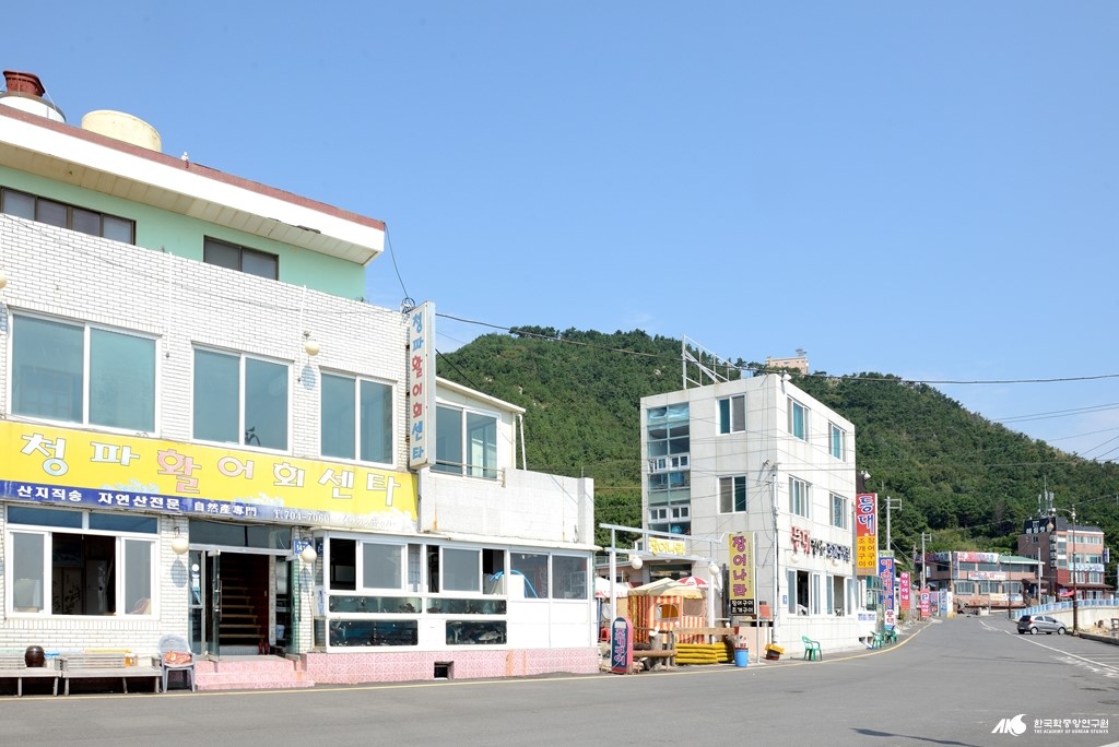 청사포 회 거리