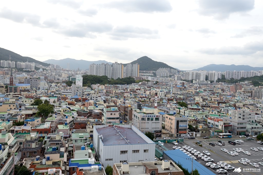 수영동