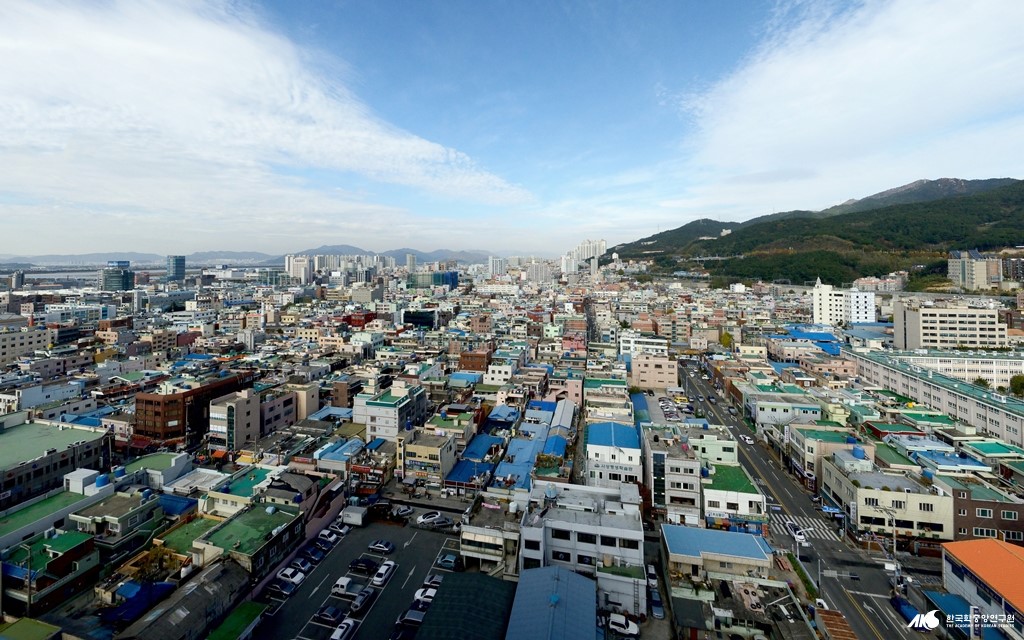 감전동