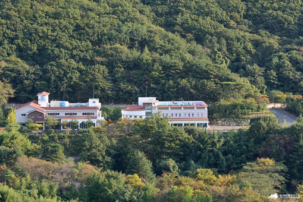 오마이랜드 부산