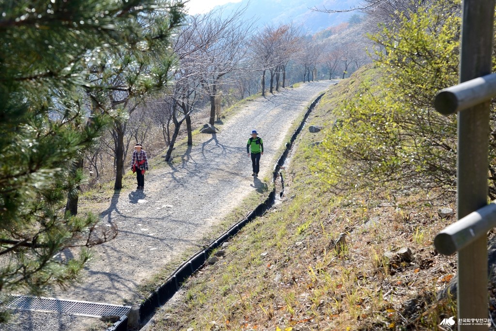 승학산 등산로
