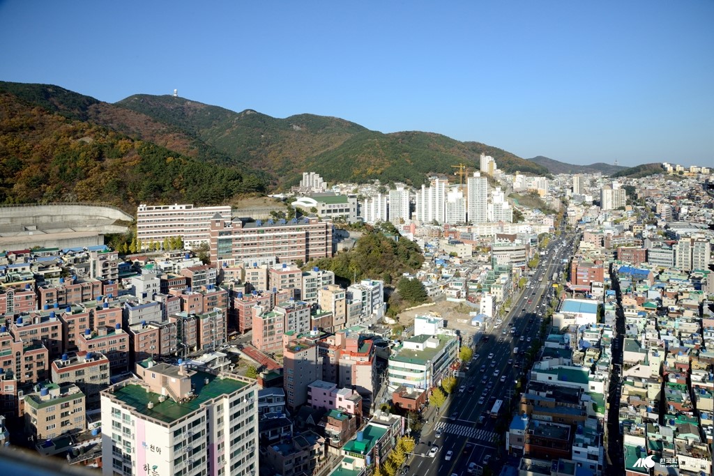 양지 마을