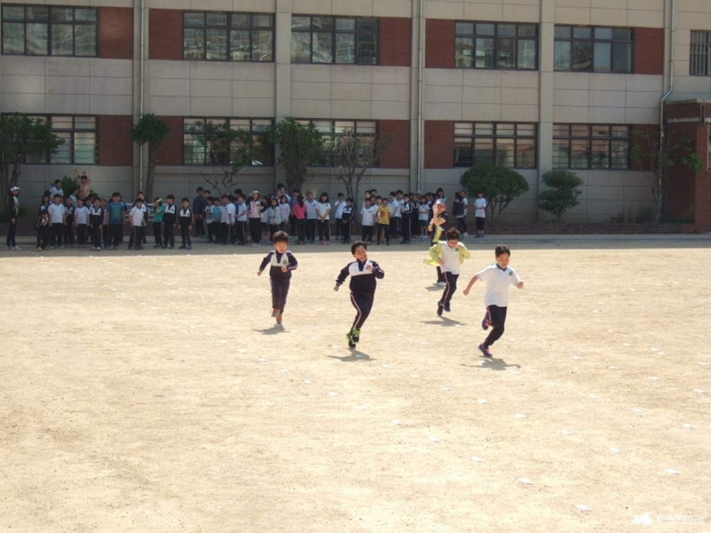 연동초등학교 - 소체육회