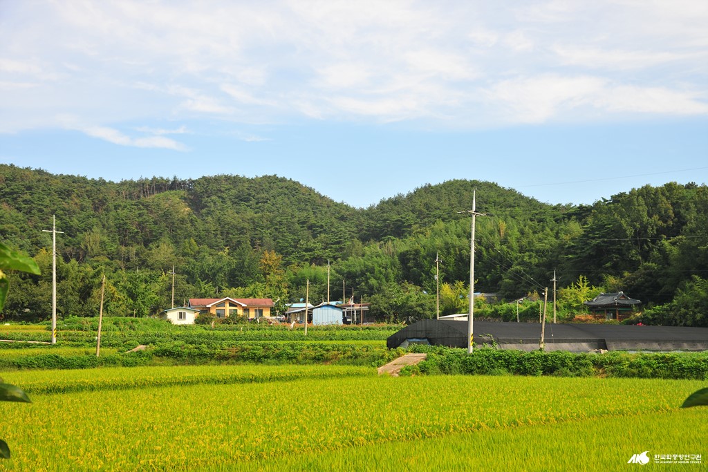 신흥리 - 신흥리 신흥마을 전경3