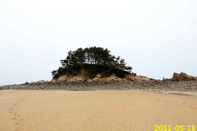 소분점도