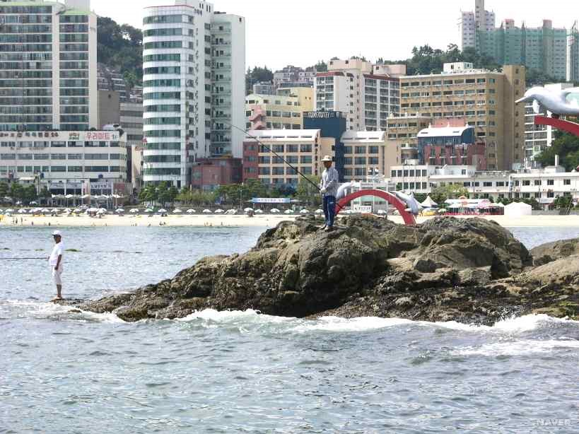 거북섬