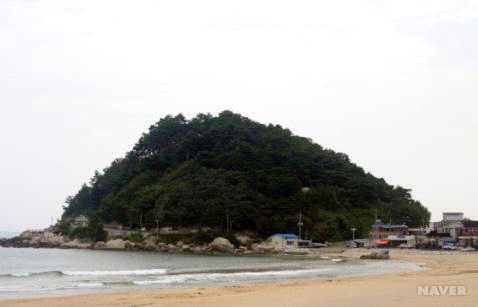 죽도