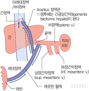 그림 B