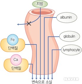 그림 7-28 : 소실되는 것
