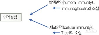 그림 7-30 : 면역결핍(immunodeficiency)