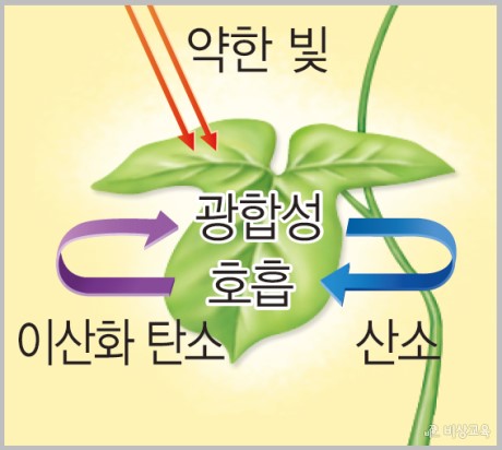 동진산소 이미지