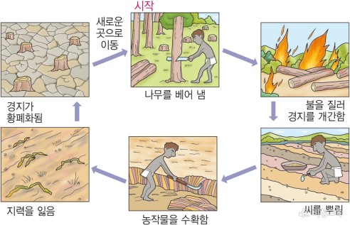 이동식 화전 농업의 과정
